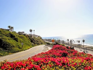 View along the walk to the ocean. Permit #str14-0085