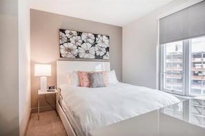 Downtown/South End Boston 1 Bedroom Bedroom 1
