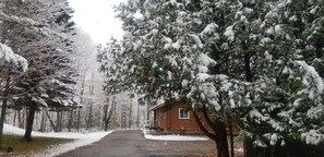A pristine Wonderland
