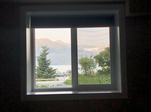 Views of Resurrection Bay and Mt. Alice from Room #1