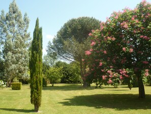 Vue sur le parc de la propriété.