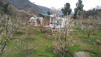 Luxurious independent cottages near Manali