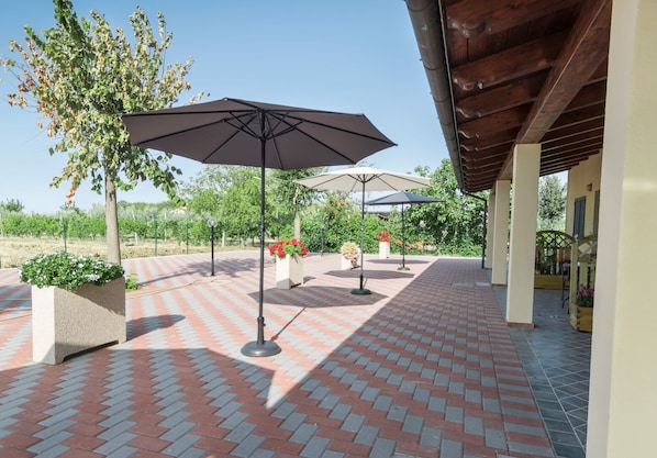 Terrasse/Patio