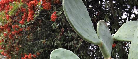 In the heart of Leakey lies another Paradise.