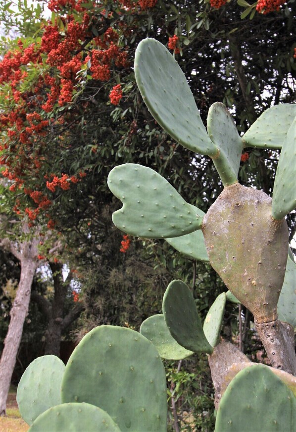 In the heart of Leakey lies another Paradise.