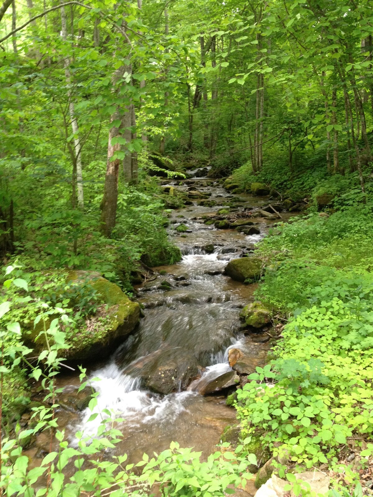 Main Image