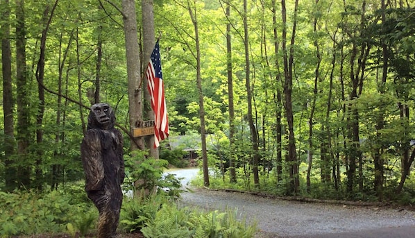 Obie welcomes you at the top of the drive to the Holyfield Cabin & Bunkhouse !
