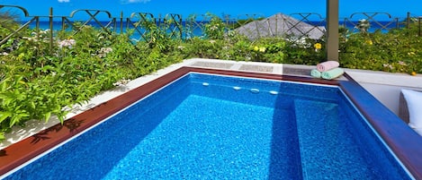 Beacon Hill 305-The Penthouse: Amazing rooftop plunge pool
