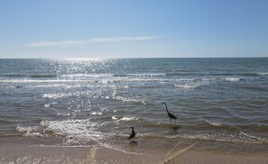 Condo Casseys 1, San Felipe Baja California - beach