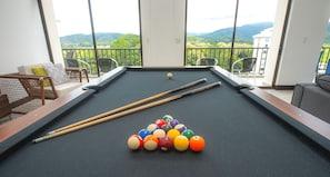Penthouse's jewel. A band new professional pool table.