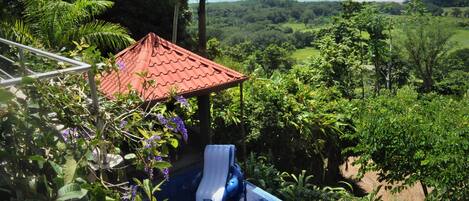 View from balcony: private infinity pool with incredible ocean views