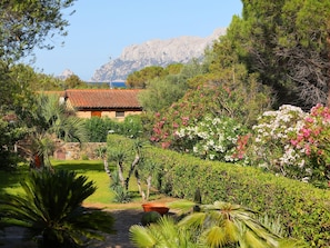 Vegetation, Natur, Garten, Eigentum, Botanischer Garten, Natürliche Landschaft, Botanik, Grundeigentum, Haus, Baum