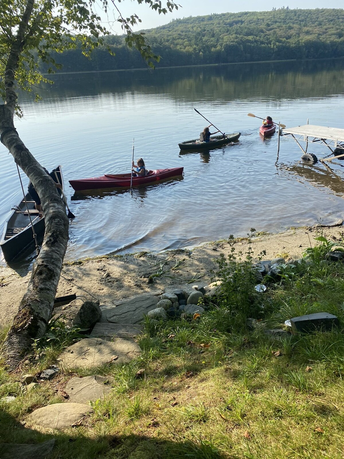 Main Image