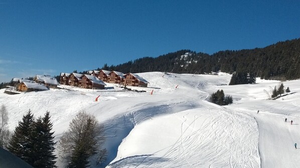 Snow and ski sports