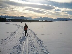 Snow and ski sports