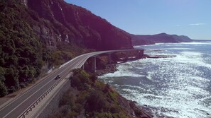 Take a tour with Just Cruisin' Tours. Guests get a $50 discount (for 2 people)
