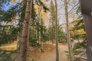 Walking path to the ski slopes #fall