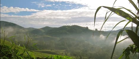 Terrenos do alojamento