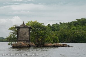 Divers