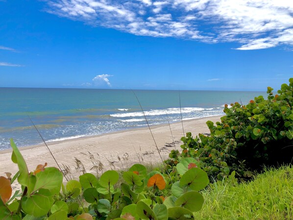 Your backyard Serenity Beach!