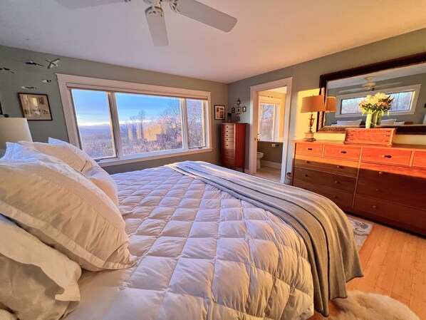 Master bedroom w/Stearn & Foster king, 2 bureaus & a large walk-in closet