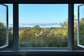 early morning bedroom view - always changing