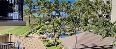 Views of the Pacific Ocean and Beach Villas beautifully landscaped grounds