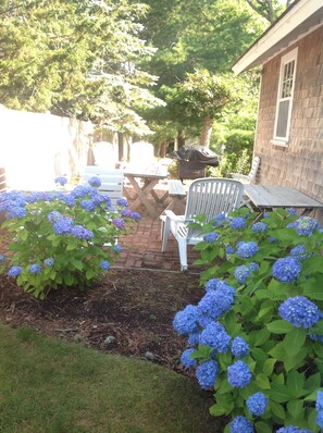 Rear of Cottage