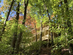 View from below. 