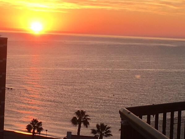 Beach/ocean view