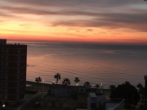 Beach/ocean view