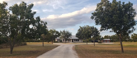 Driveway View