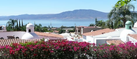 View Property from main patio