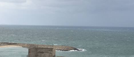 Beach/ocean view