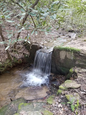 Private Waterfall in the Rhododendron Forest