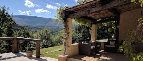 Terrace and porch area.