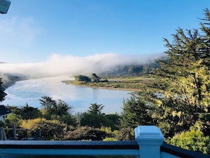 The Russian River is magical in the morning & this view looks toward Bodega Bay just outside the VV front door. As I write the Pelicans are here. Maybe 50 of them are resting along the shore. There's always an ecotourism scene worth exploring here.