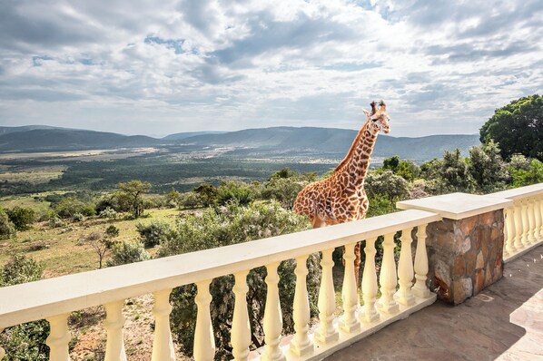 View from property