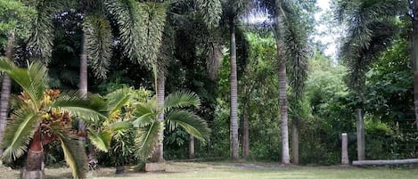 Jardines del alojamiento