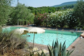 Schwimmbad des Ferienhauses