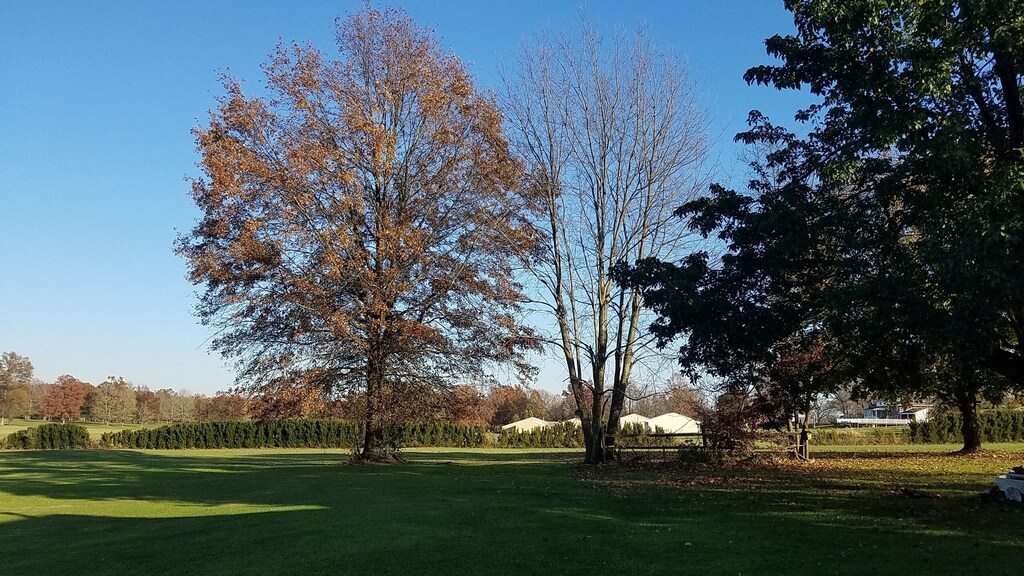 Country Charm Home on Golf Course in Historic Saxonburg, PA Butler County