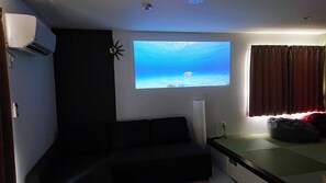 70 inch projector