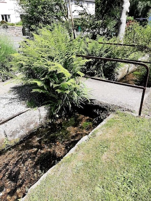 The leat at the front of the house, run off from the Finch Foundry water mill