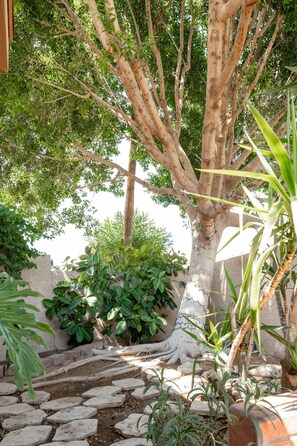 Lush mature landscape throughout gives this desert home a tropical vibe.