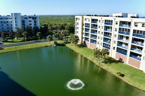 You can listen to the fountain. We have seen otters in the pond before.