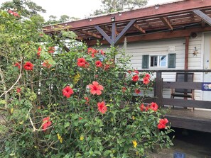 ・ Double suite: Hibiscus welcomes you at the entrance like Okinawa