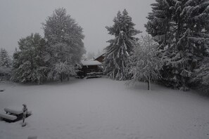 The Green House snuggled by snow