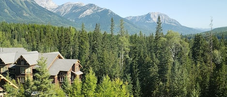 Terrain de l’hébergement 