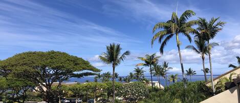 ocean view from Lanai