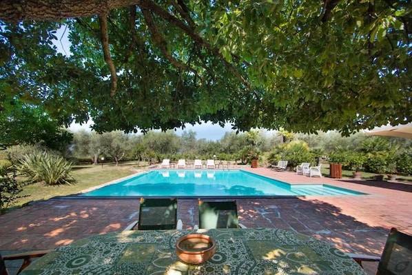 Patio,Pool view